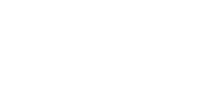 Logo ANSA